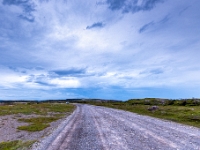 Viking Trail